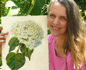 Connecticut Artist Janet Zeh Releases Botanical Flower Print Series